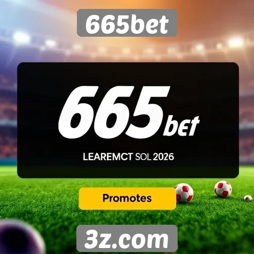 Novidades e promoções disponíveis no site 665bet